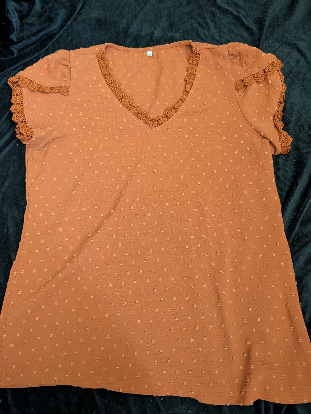 Women's Rust Lace-Trim V-Neck Top